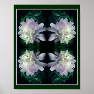Lavender Peony Flower in Bloom Abstrakt Poster