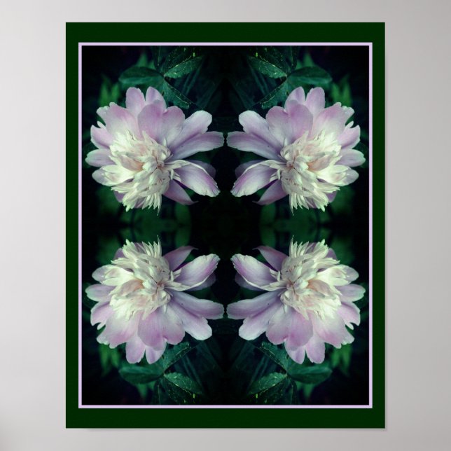 Lavender Peony Flower in Bloom Abstrakt Poster (Framsidan)