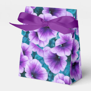Lavender Petunia Flowers Presentaskar