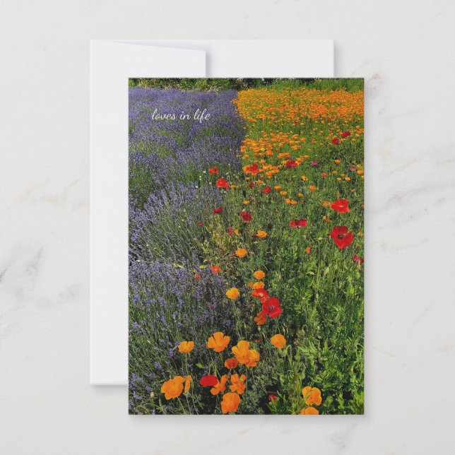 Lavender & Poppies Anteckningskort (Framsida)