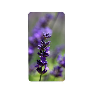 Lavender Porträtt Adressetikett