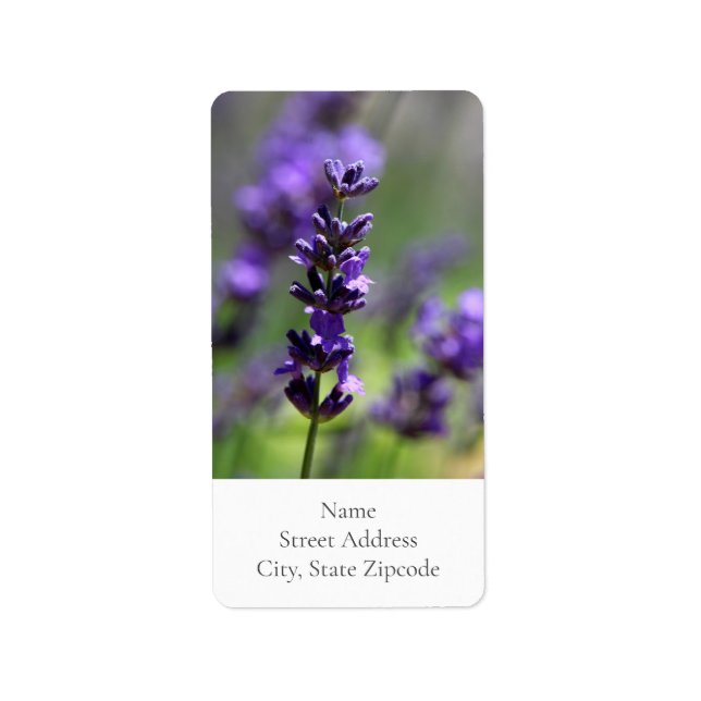 Lavender Porträtt Adressetikett (Framsidan)
