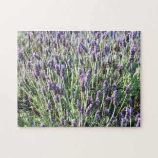 Lavender Pussel