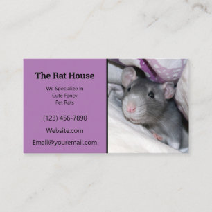 Lavender Råtta Breeder Rattery Visitkort