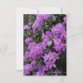 Lavender Rhododendron Anteckningskort