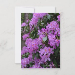 Lavender Rhododendron Anteckningskort