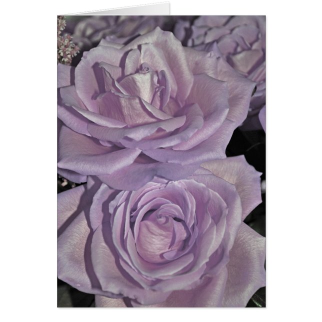 Lavender Ro Hälsningskort (Framsidan)