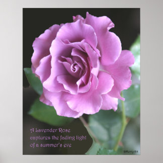 Lavender Ro Poster: RO & PROSE 16 x 20 Poster