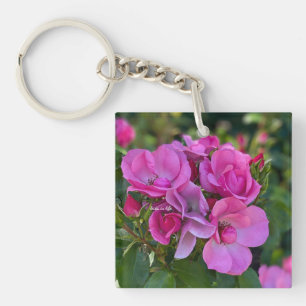 lavender Rosa ros