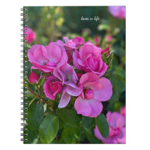 Lavender Rosa ros Anteckningsbok