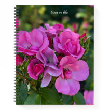 Lavender Rosa ros Hardcover