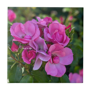lavender Rosa ros Kakelplatta