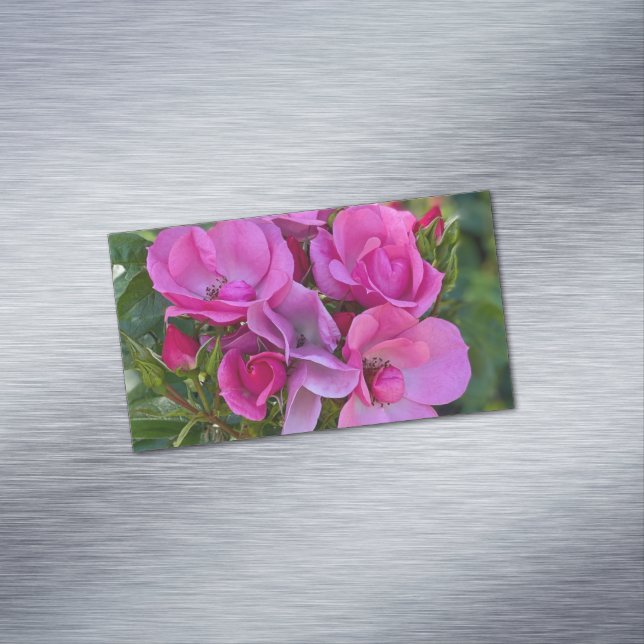 Lavender Rosa ros Magnetiska Visitkort (In Situ)