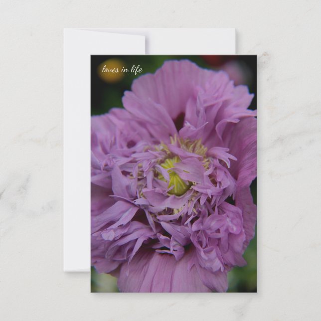 Lavender Ruffly Poppy Anteckningskort (Framsida)