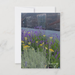 Lavender & Santolina Plants Anteckningskort