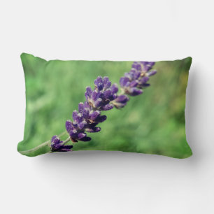 Lavender Stalk Photo Lumbar Cushion Lumbarkudde