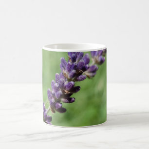 Lavender Stalk Photo Mugg