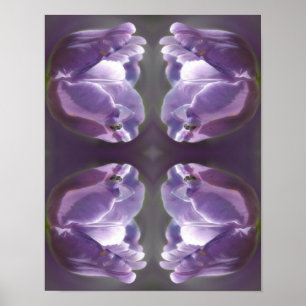 Lavender Tulip med Abstrakt av tunt bi Poster