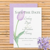Lavender Tulip Solo Lila Modern