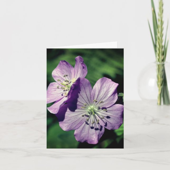 Lavender Twins Geranium Flower Photography  Anteckningskort (Framsida)