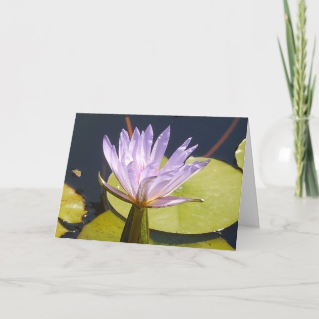 Lavender Vatten Lily Card Kort (Framsida)