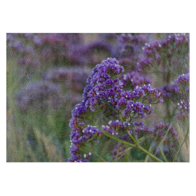 Lavender vid havet (Framsidan)