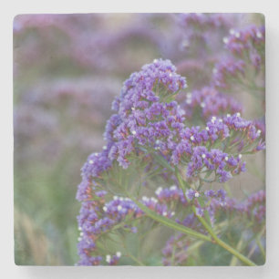 Lavender vid havet stenunderlägg