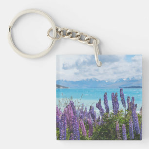 lavender vid sjö-kusten