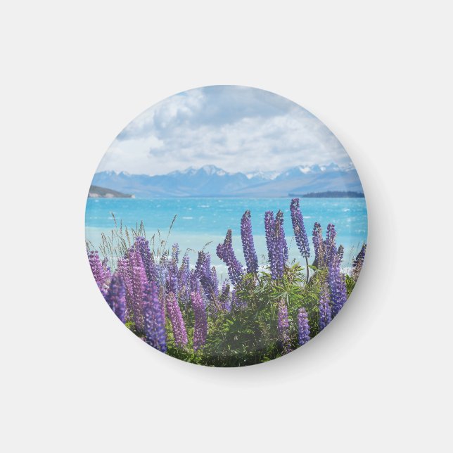 lavender vid sjö-kusten magnet (Framsidan)