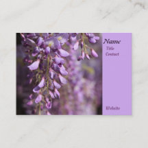 Lavender Whispers: Wisterias Gentle Blommigt Dance