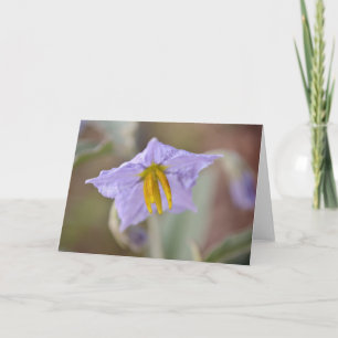 Lavender Wildblomskonton Kort