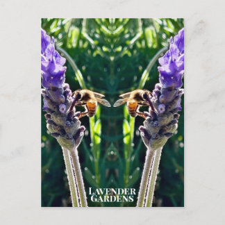 Lavendern & Biet Vykort
