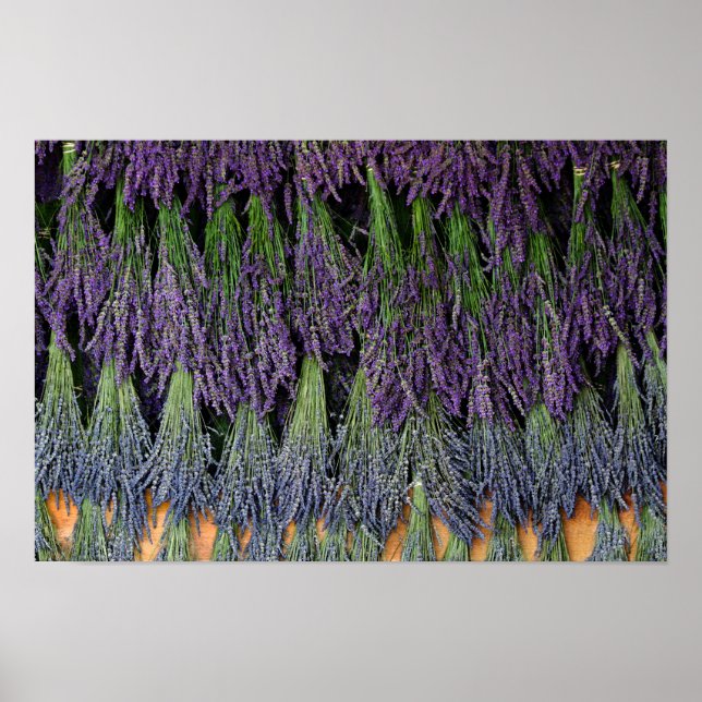 Lavendertorkställ Poster (Framsidan)