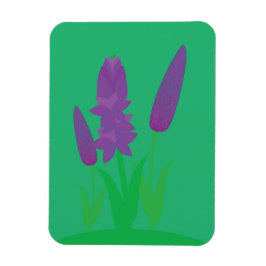 Lavenderväxter Magnet