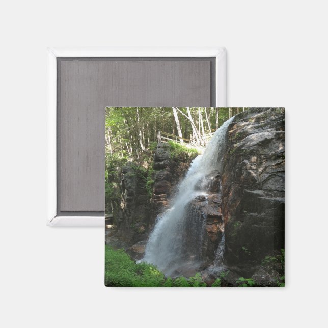 Lavinfallet Magnet (Front/Back)