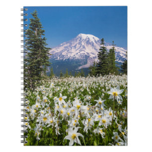 Lavinliljor och Mount Rainier 2 Anteckningsbok Med Spiral
