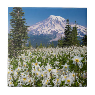 Lavinliljor och Mount Rainier 2 Kakelplatta