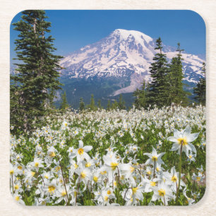Lavinliljor och Mount Rainier 2 Underlägg Papper Kvadrat