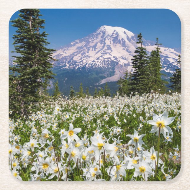 Lavinliljor och Mount Rainier 2 Underlägg Papper Kvadrat (Framsidan)
