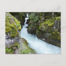 Lavinstörtedal I vid Glacier National Park Vykort