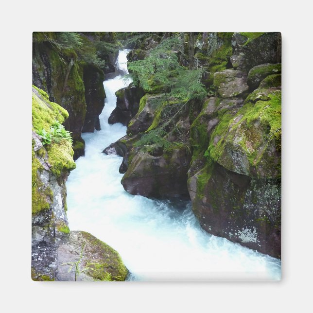 Lavinstörtsravinen I i Glacier National Park Magnet (Framsidan)