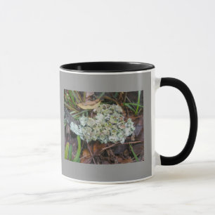 Lavmugg Mugg