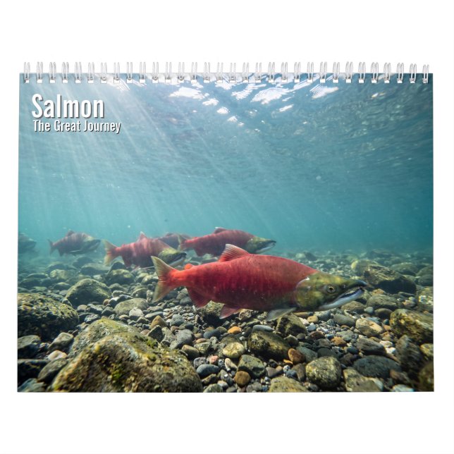 Lax 2027 Vägkalender Kalender (Omslag)