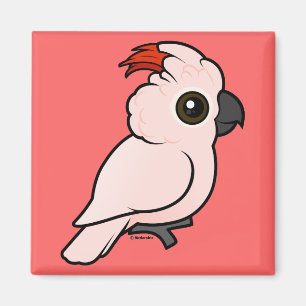 Lax-krönad kakadua magnet