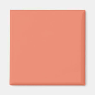 Lax Rosa Magnet Chic Minimalistisk Dekoration