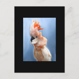 Laxbestulet Cockatoo ACEO Art Trading Card Vykort