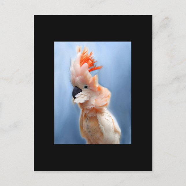 Laxbestulet Cockatoo ACEO Art Trading Card Vykort (Framsida)