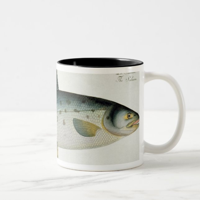 Laxen (Salmo Salar) pläterar XX från Två-Tonad Mugg (Höger)