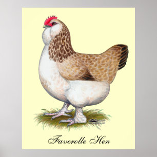 LaxFaverolle höna Poster
