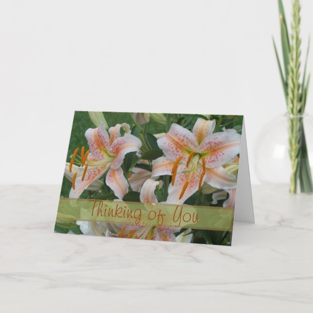 Laxstjärnakort för något tillfälle kort (Framsida)